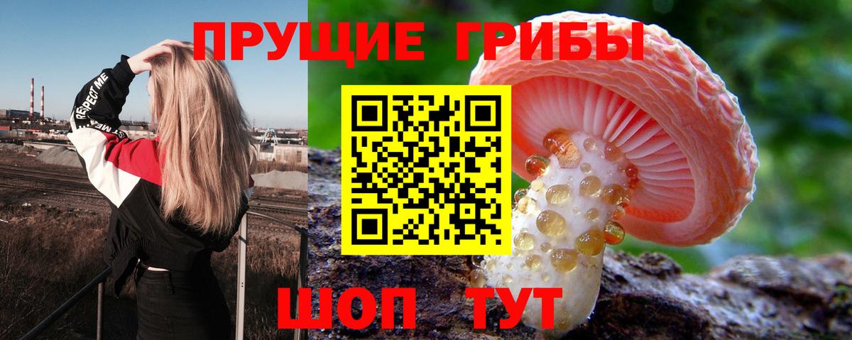 Галлюциногенные грибы мицелий Ефремов